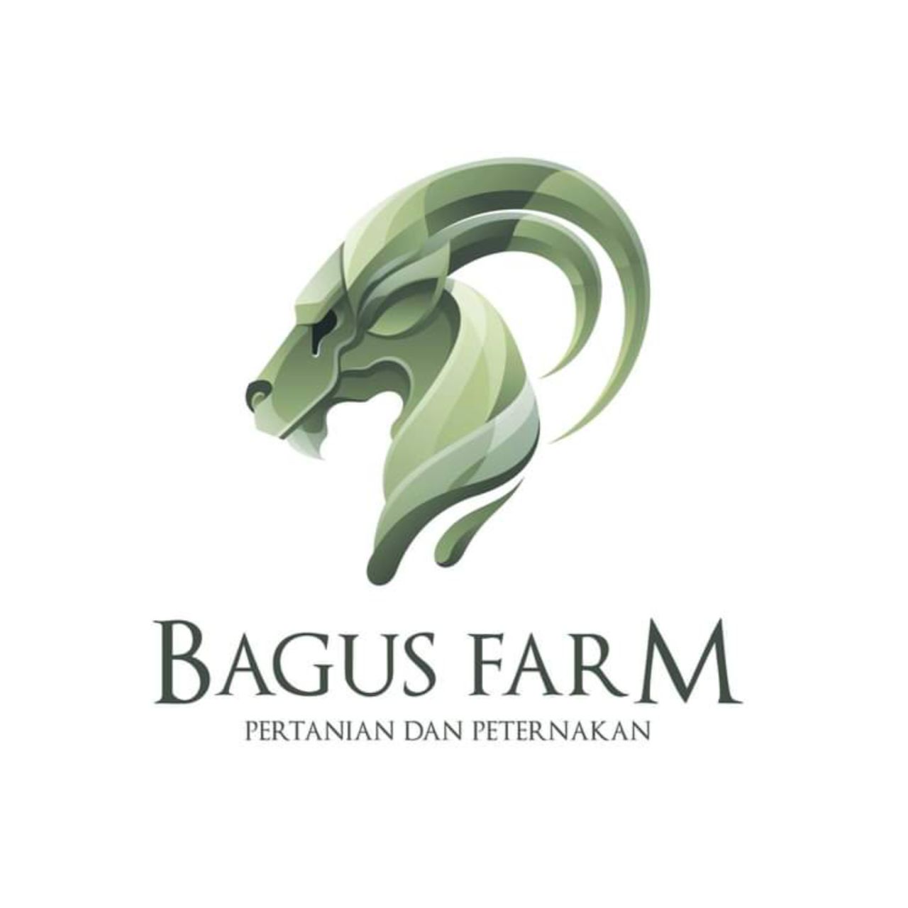 PT. Bagus Alam Makmur